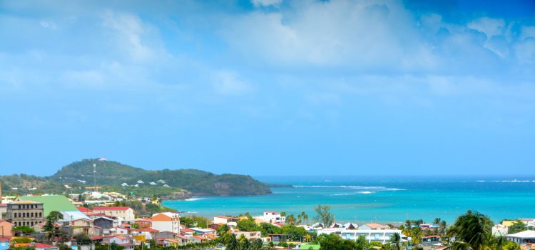  Conseils pour bien choisir sa location de voitures en Martinique