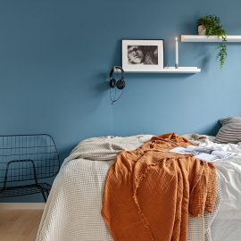 Le traitement des punaises de lit : n’attendez pas pour vous lancer